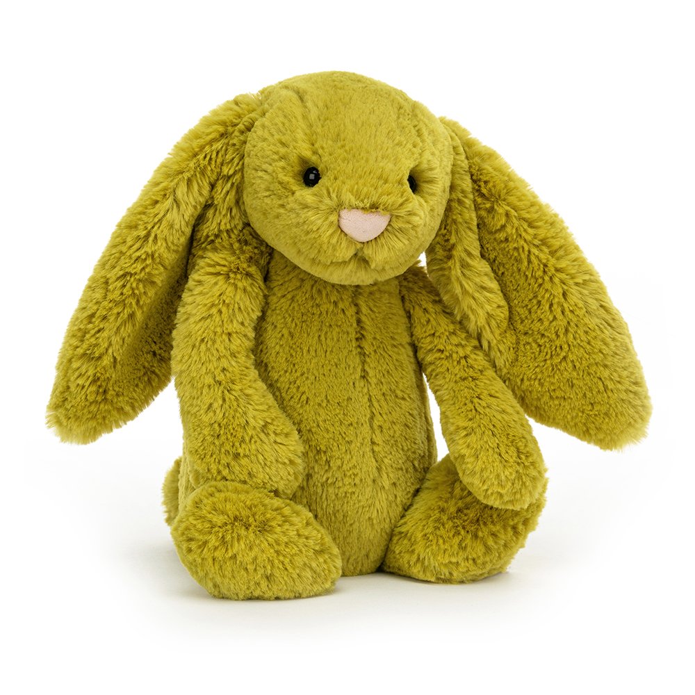 Bashful Bunny