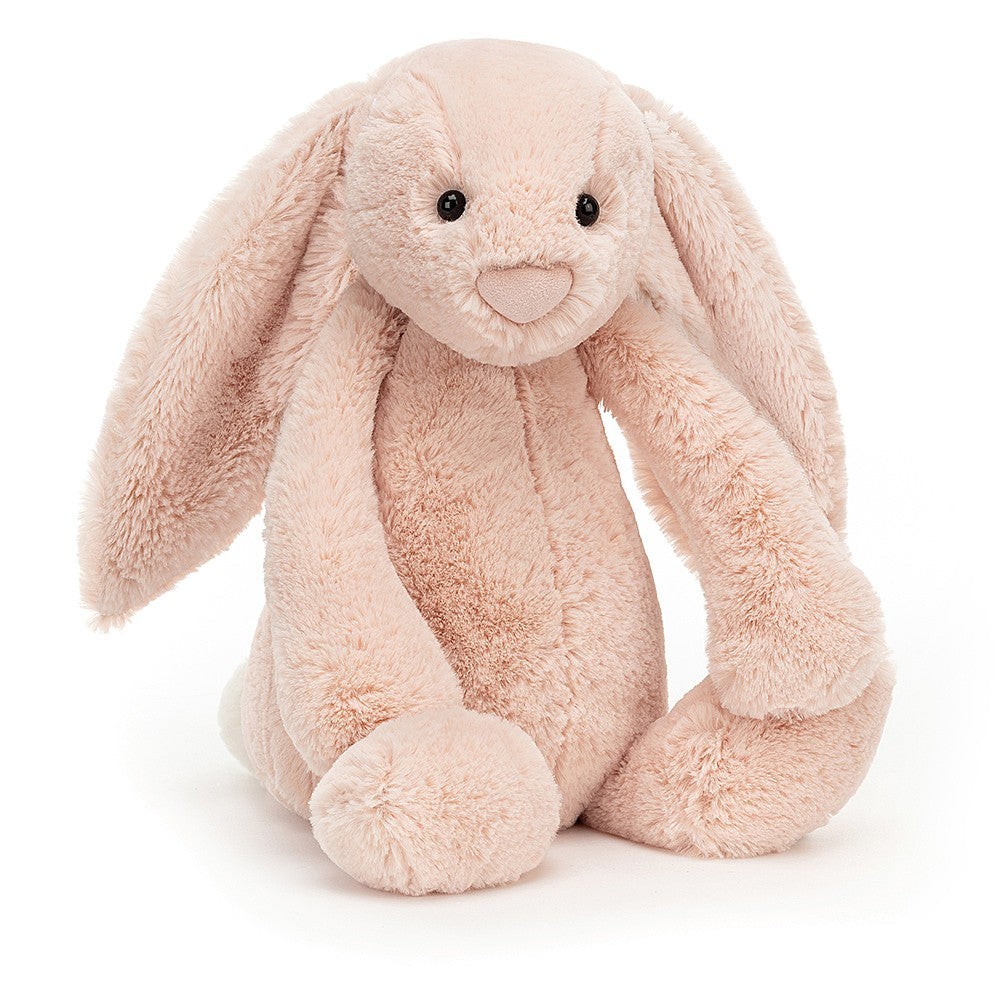 Bashful Bunny