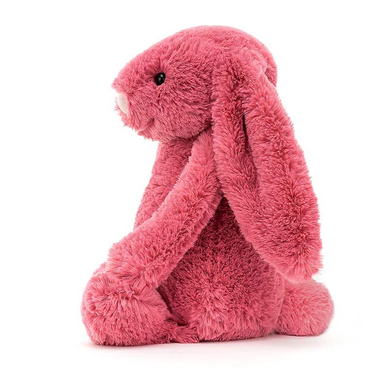 Bashful Bunny