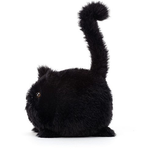 Kitten Caboodle Black