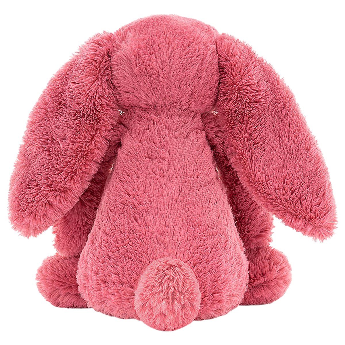 Bashful Bunny
