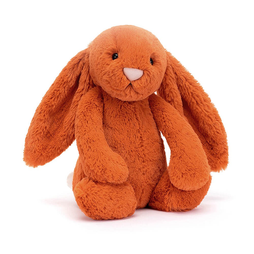 Bashful Bunny