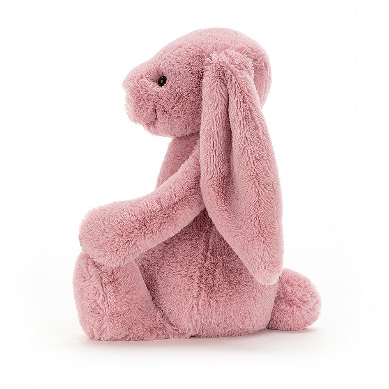 Bashful Bunny